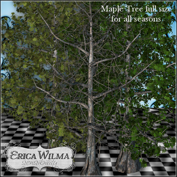 EW Maple Trees - Click Image to Close